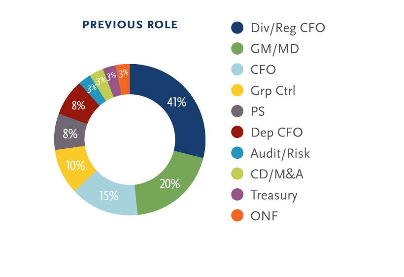 South Africa CFO Previous Finance Experience