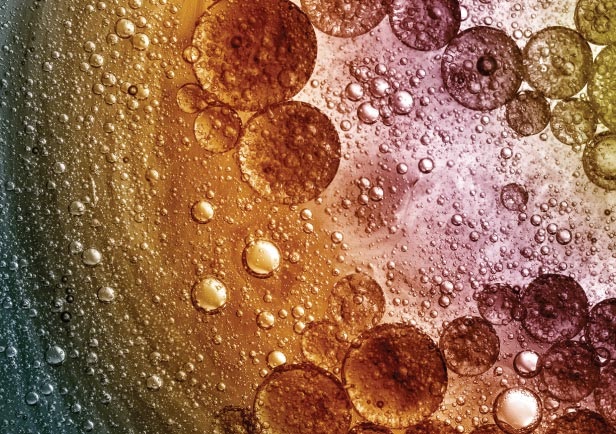 Biopharma 2020: Five Key Trends Impacting Leadership and Culture