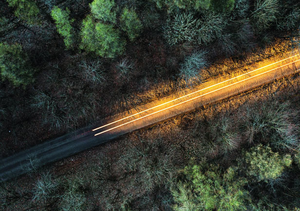 Chief Sustainability Officer