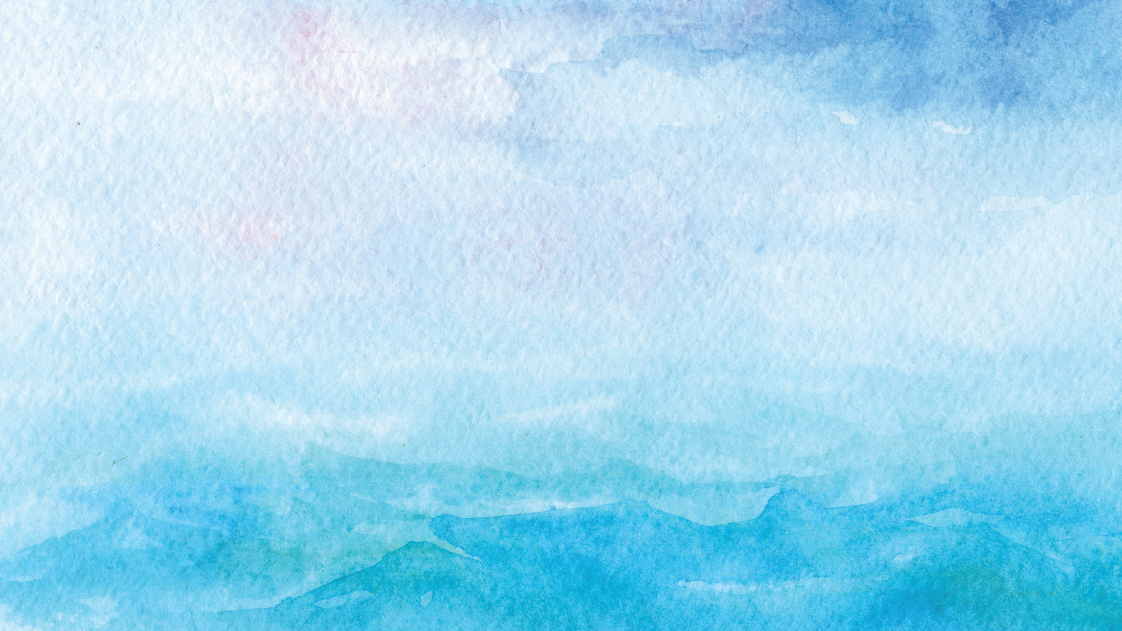 2015 CEO Transitions