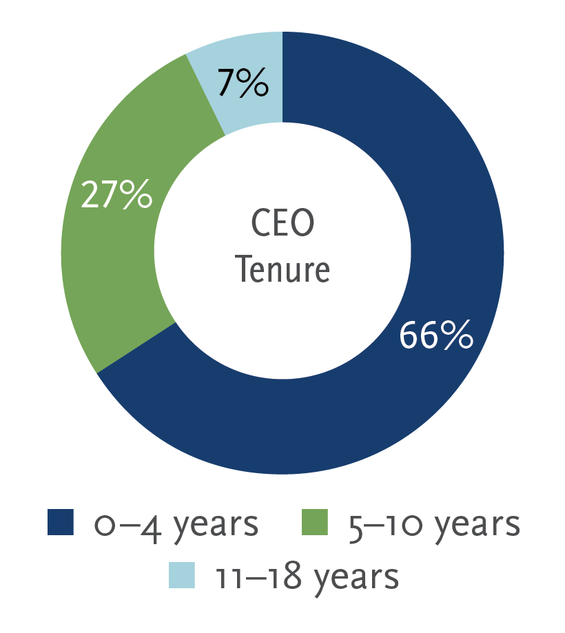 Current CEO Tenure